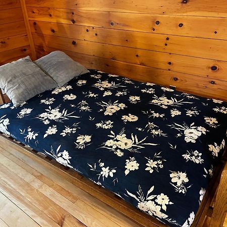 Bright And Cozy Treehouse Apartment Burlington Bagian luar foto